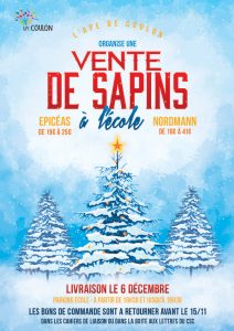 WEBaffiche_sapin2019